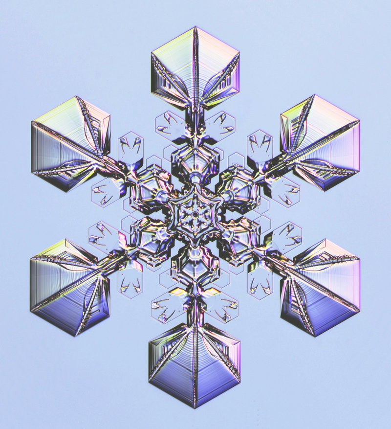 Illustration for article titled This Physicist Makes Dazzling Snowflakes in his Laboratory